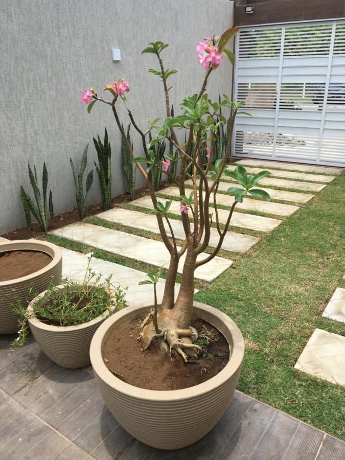 Casa De Praia Tamandaré Esterno foto